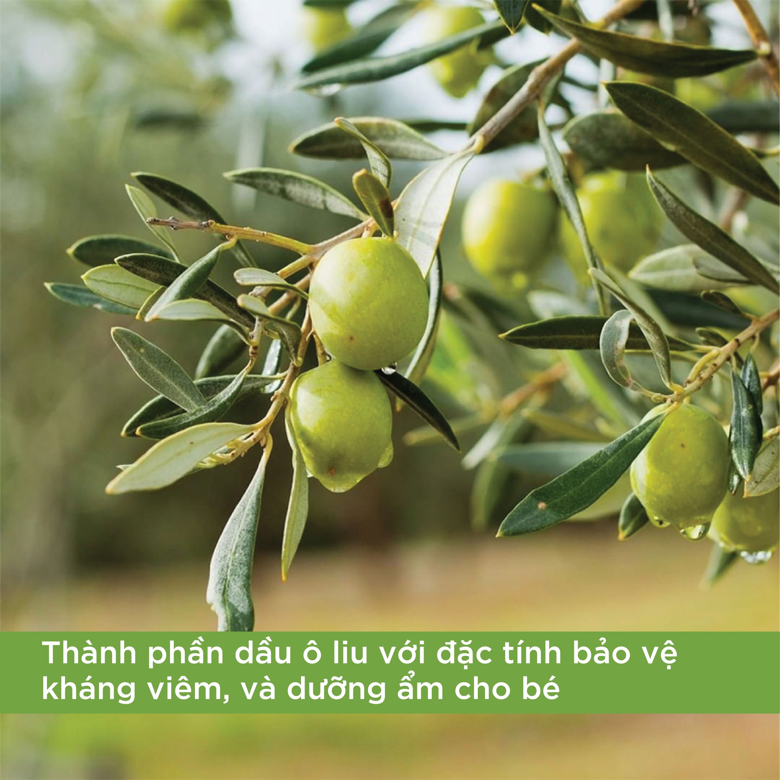 Top những sản phẩm Corine de Farme chăm sóc làn da bé