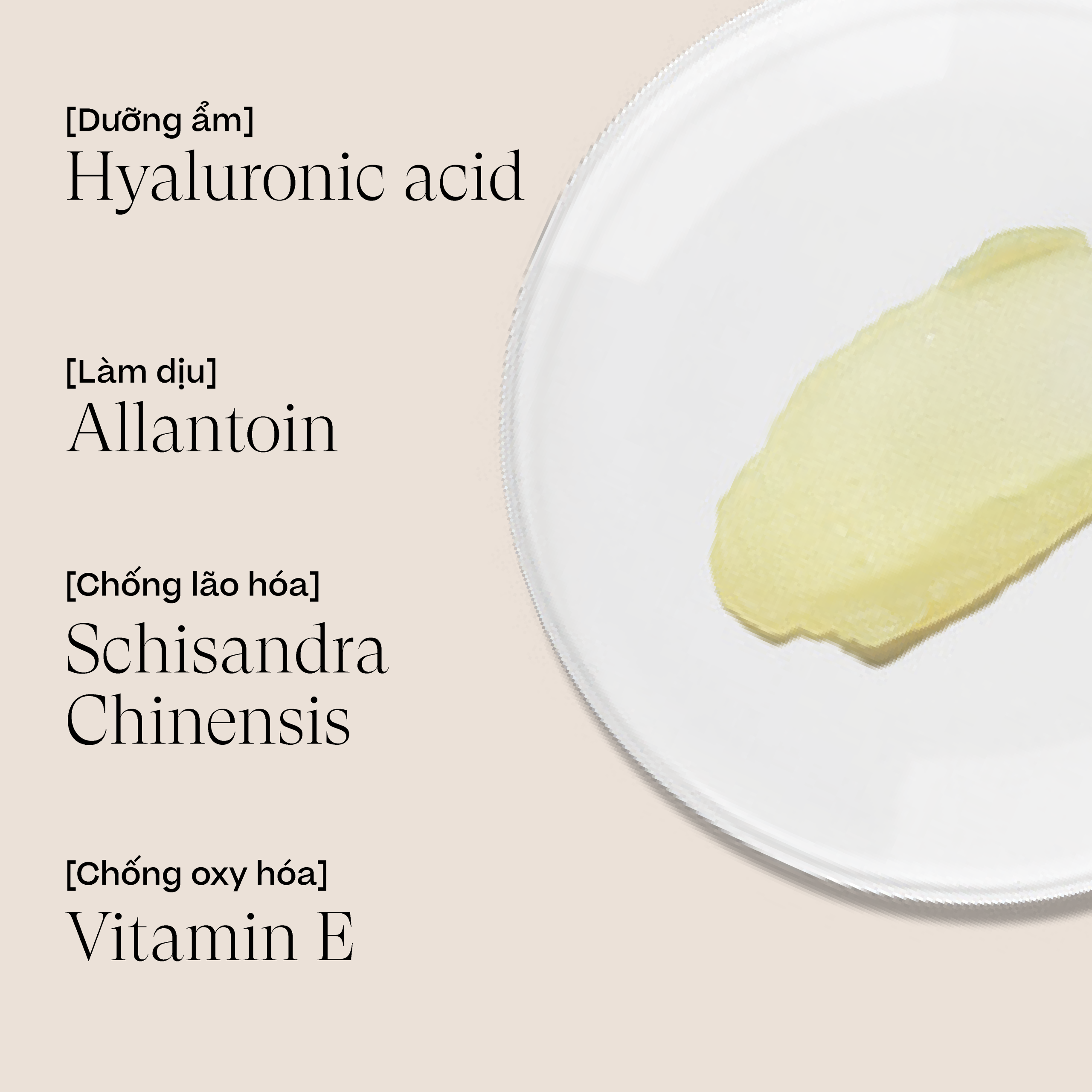 MATT GEL 50 INVISIBLE_Key Ingredient Sensilis Matte Gel 50 Invisible 40ml